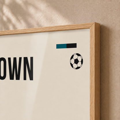 Cape Town Stadium — Framed — Close-up #Oak