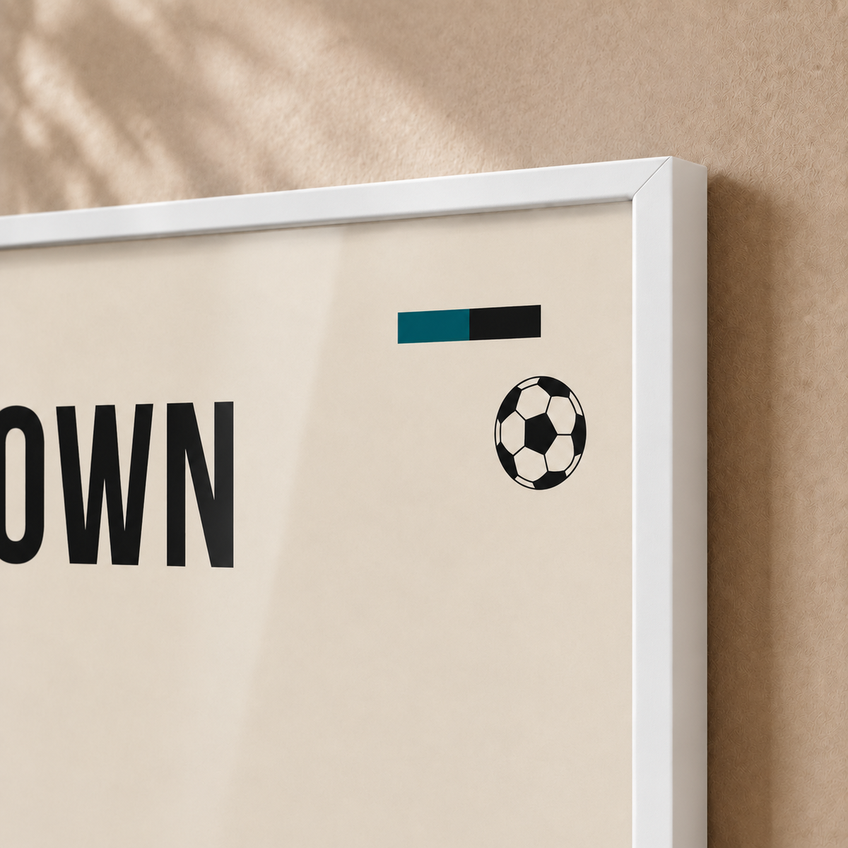 Cape Town Stadium — Framed — Close-up #White